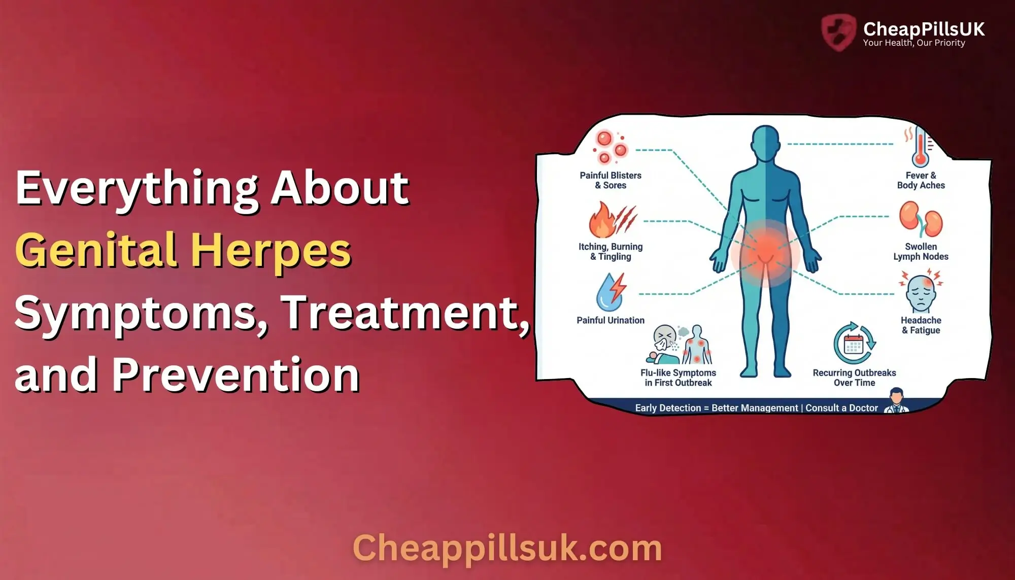 Everything About Genital Herpes: Symptoms, Treatment, and Prevention