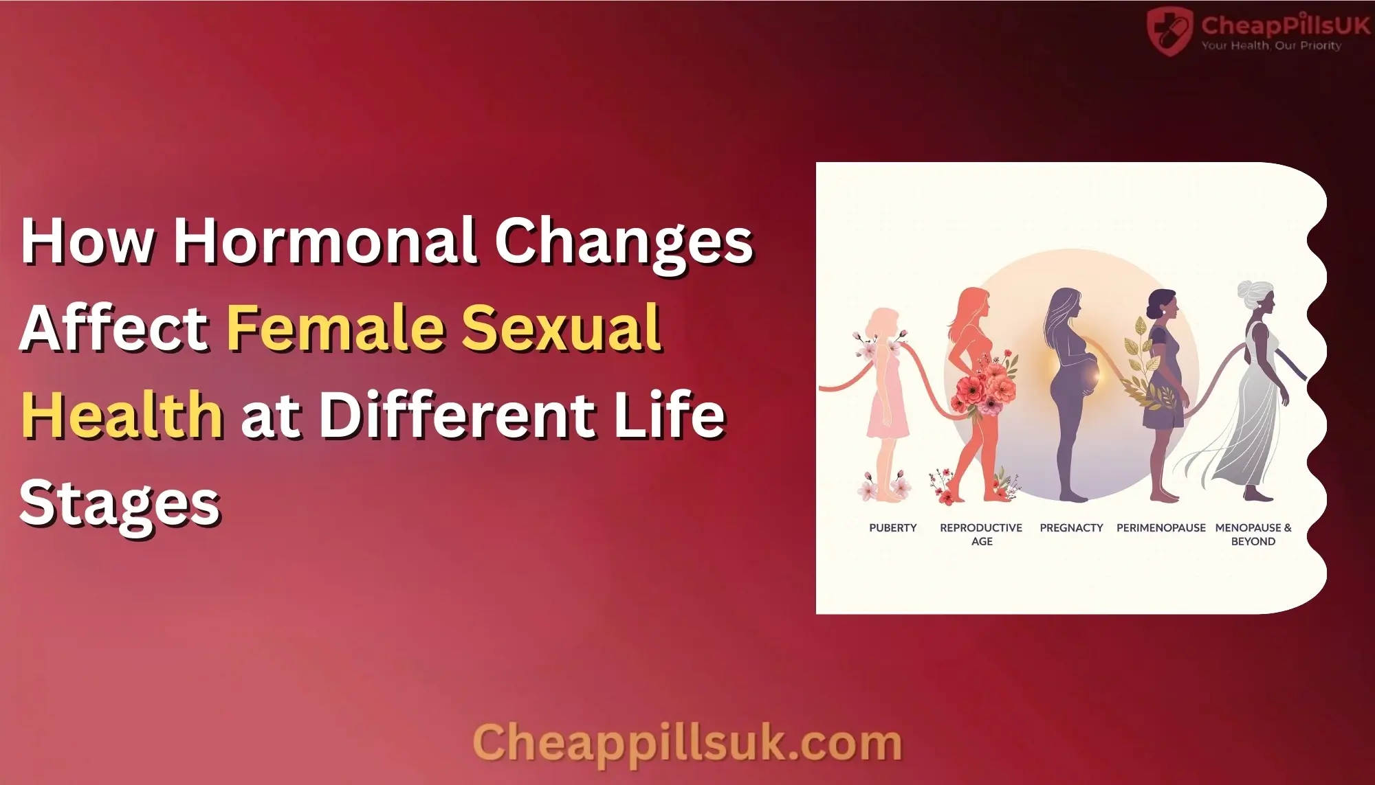 How Hormonal Changes Affect Female Sexual Health at Various Life Stage